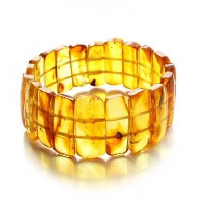 Baltic Amber Insect Inclusion Bracelet Jewelry |..