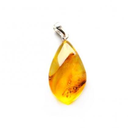 Inclusion Baltic Amber Pendant, Insect Pendant,..