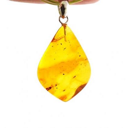 Insect Pendant, Insect Baltic Amber Pendant,..