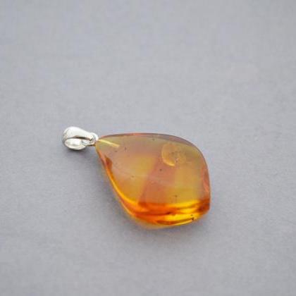 Insect Pendant, Insect Baltic Amber Pendant,..