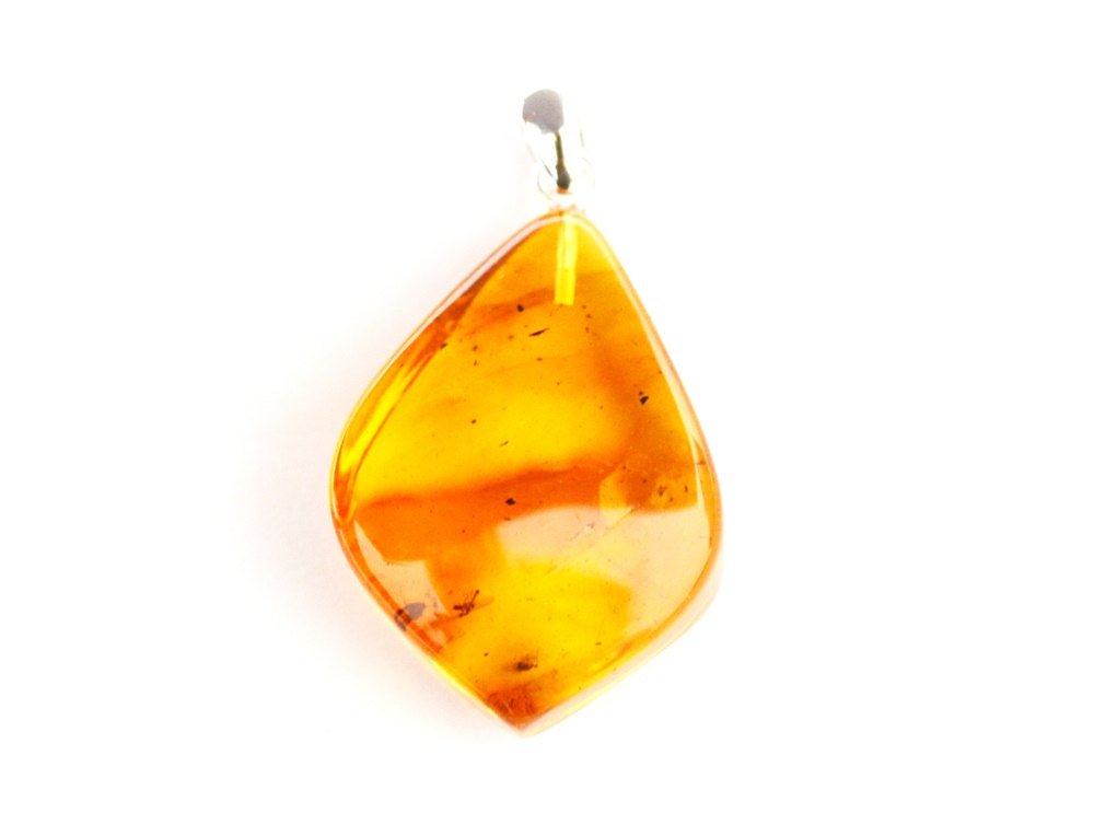 Insect Pendant, Insect Baltic Amber Pendant, Orangependant, Baltic Amber, Amber, Cute Pendant, Insect, Gift, 1312